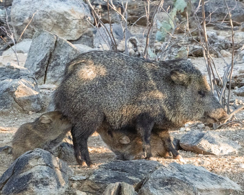 20251210-misc-116-Edit.jpg 20251210-misc-116-Edit.jpg