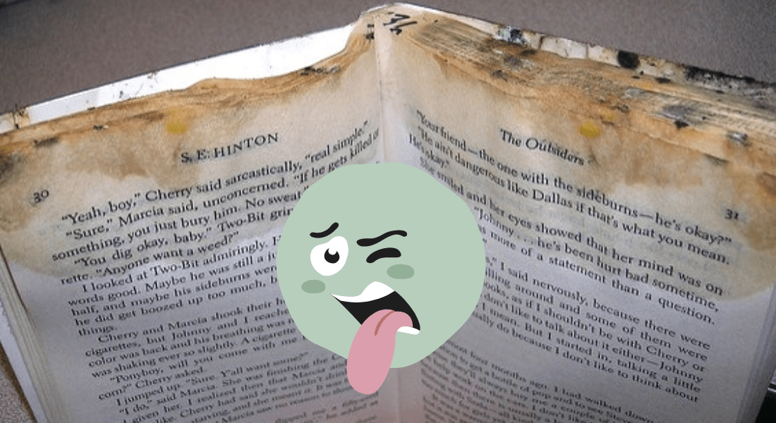 What To Do About Moldy Books - Vintage Unscripted