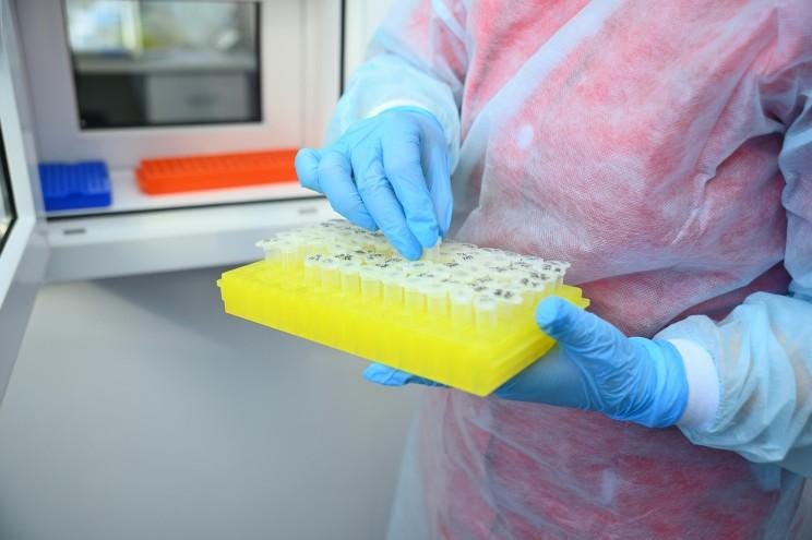 DNA testing in a lab