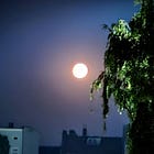 Surviving the Winter in Berlin