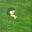 abilash suresh's avatar