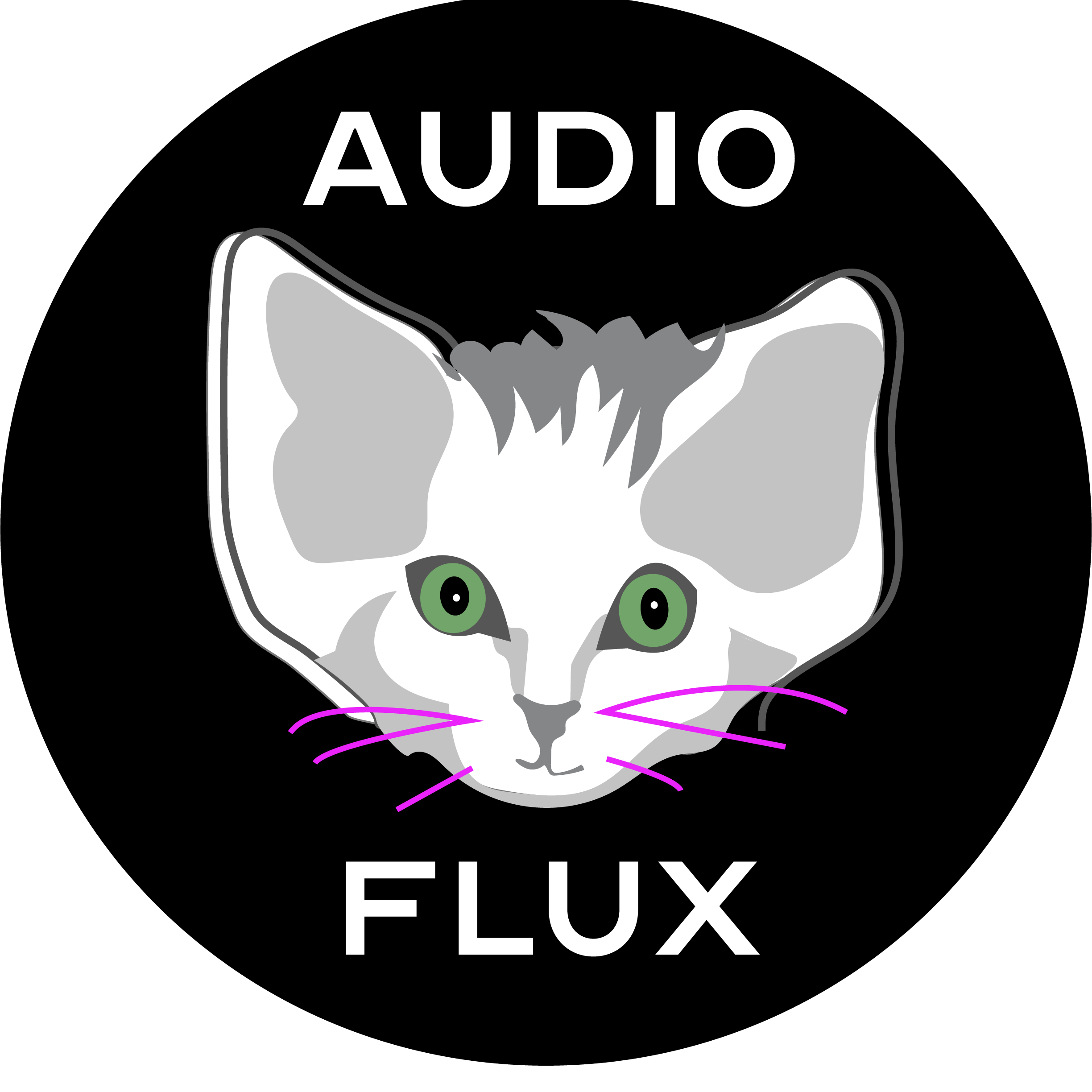 Audio Flux