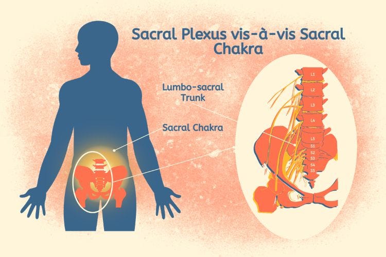 Sacral Plexus vis-à-vis Sacral Chakra Sacral Plexus vis-à-vis Sacral Chakra