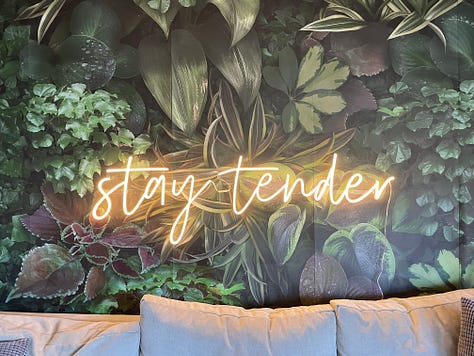 each photo is of Andrea and Meg's living room, painted in progressively different colors with slight alterations on decor at well. In first photo, wall is charcoal colored. Subsequently, emerald, light pink, wallpapered, white with a "stay tender sign", then white with a triptych of cacti.