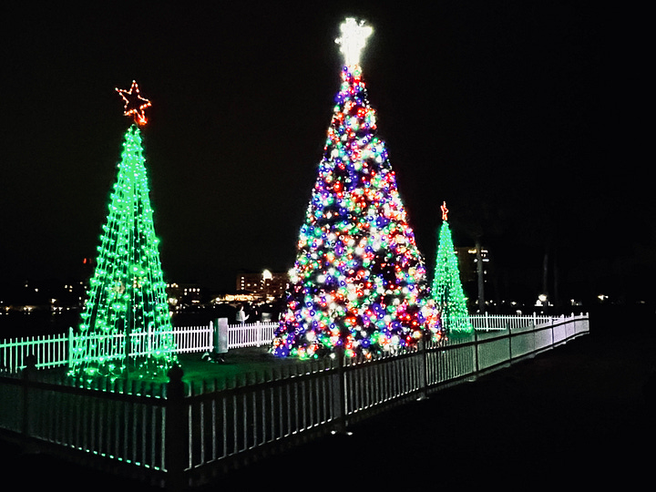 christmas, palm trees, christmas trees, wreath, decorations