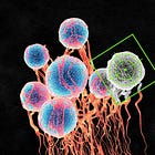 Why AI won’t cure cancer anytime soon