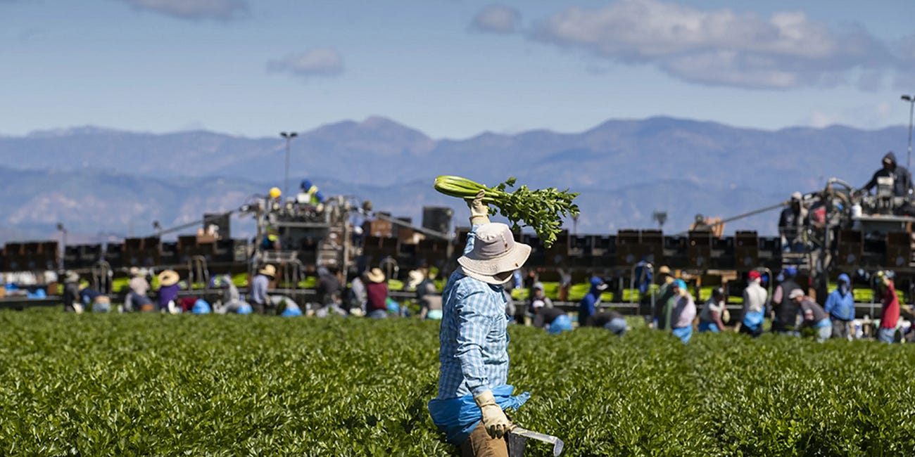 We Want Workers, Not People