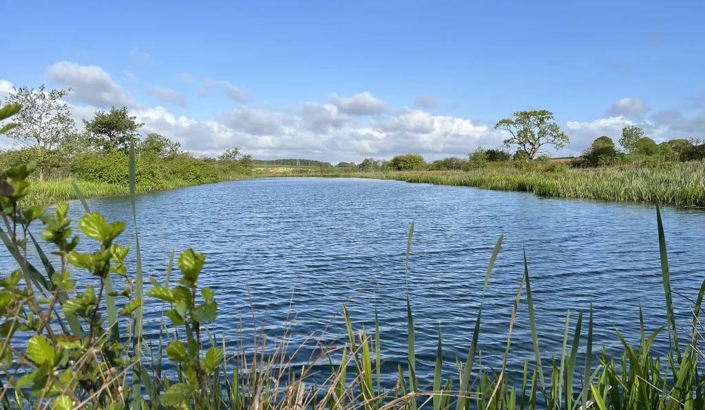 Whitmore Wild Swimming - Discover the joy of wild swimming