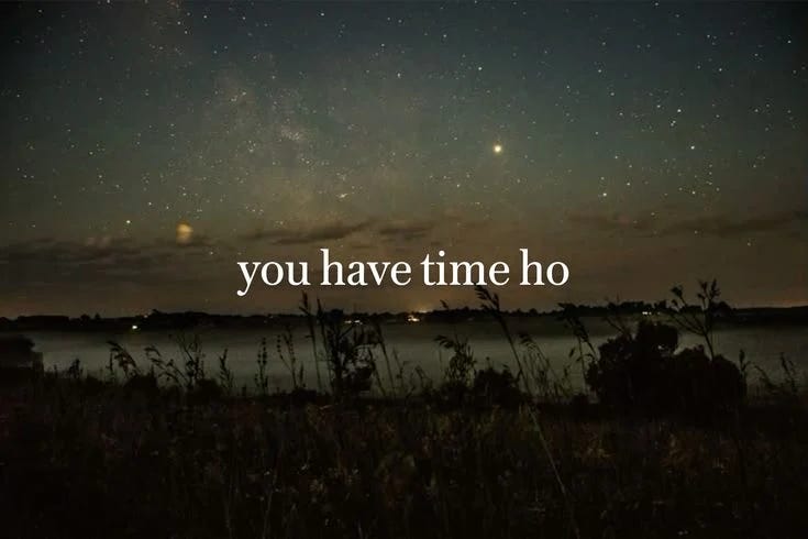 Serene nighttime landscape showing a starry sky over a body of water with silhouetted plants in foreground.