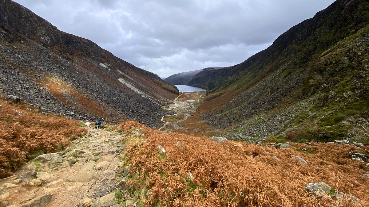 Nature’s Comfort: My Wicklow Trails