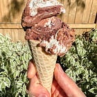 S'mores Ice Cream