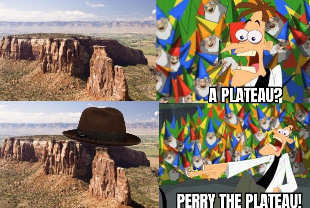 Perry the plateau meme : Second Language Strategies