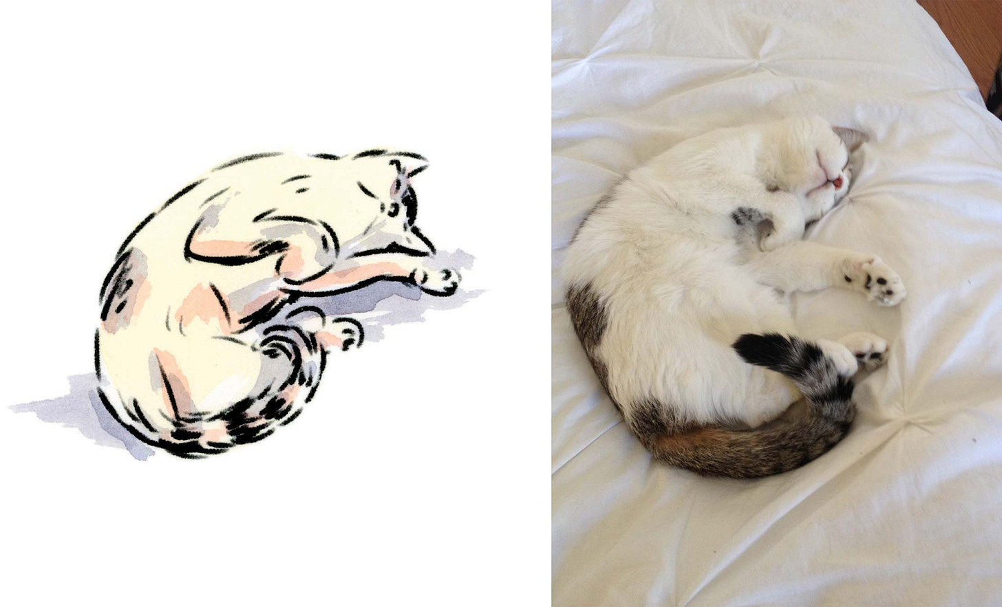 Finalized watercolor drawing with reference image by graphic novelist K. Woodman-Maynard. 