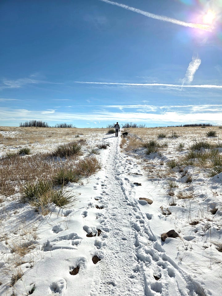 Ridgeline Open Space