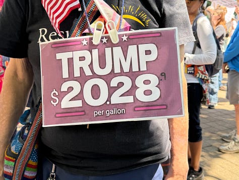 No Kings March 28, 2026 images and signs from around the country.