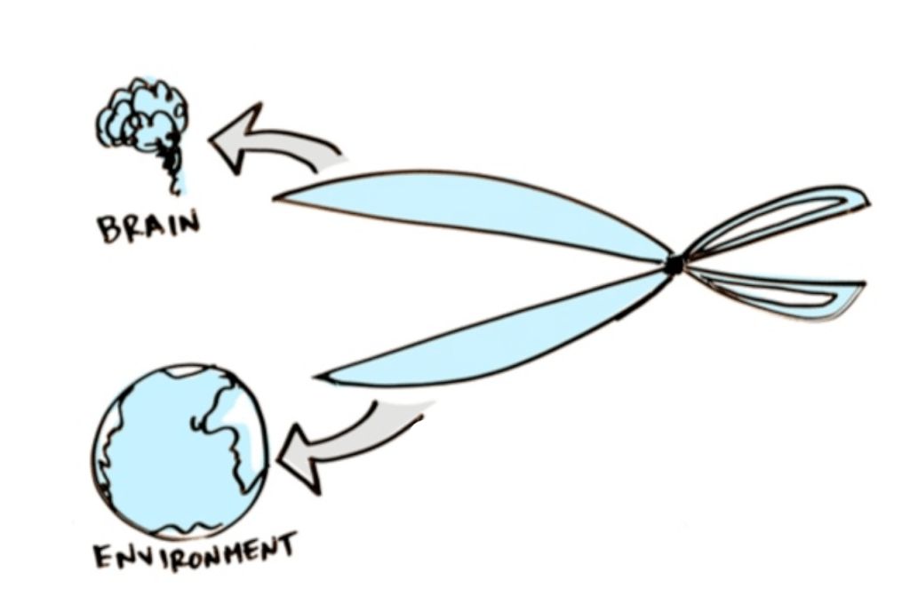 Illustration showing the relationship between the brain and environment, depicted as a pair of scissors cutting through stress, with 'BRAIN' labeled on one side and 'ENVIRONMENT' labeled on the other.