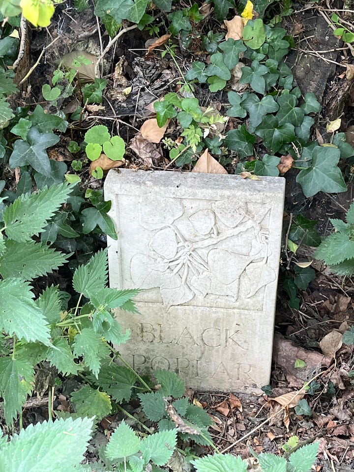 Four stone markers with inscribed illustrations and names of plants in the cemetery