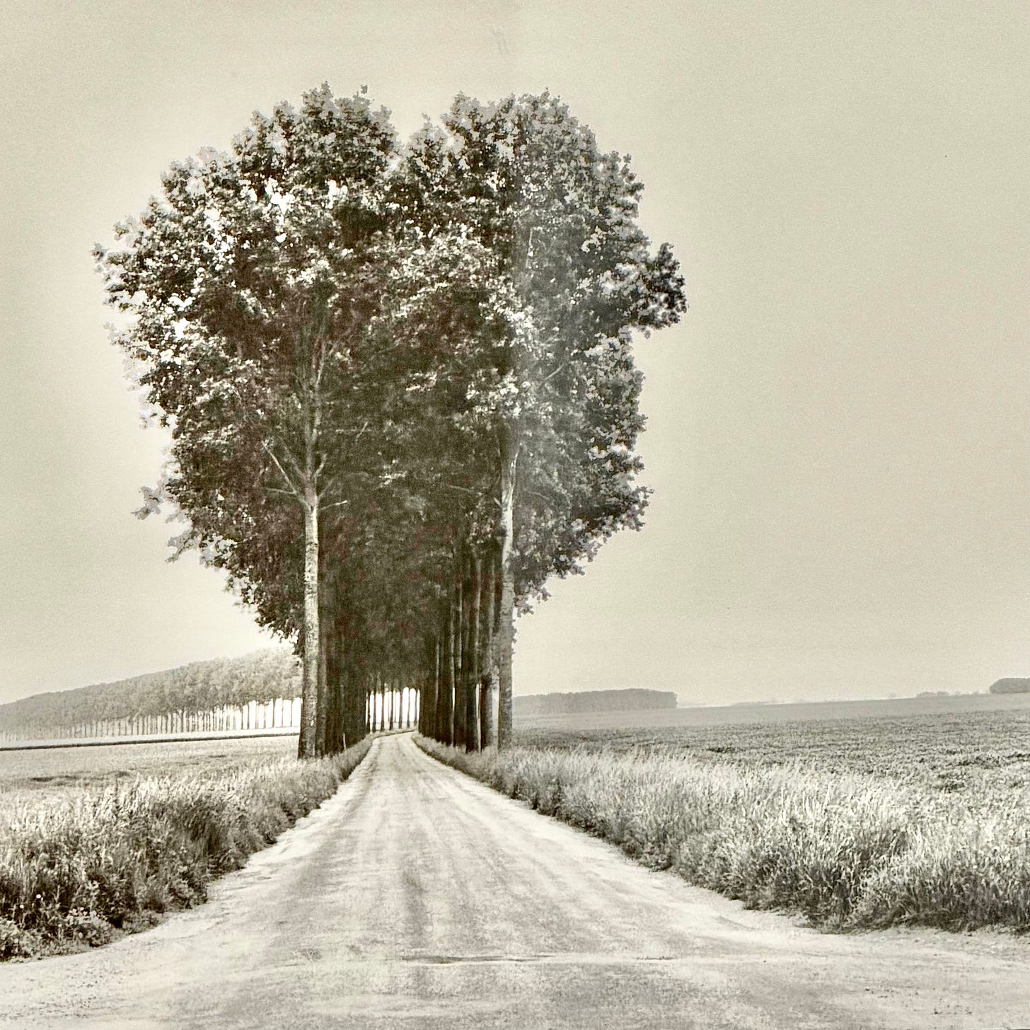 Henri Cartier-Bresson - Brie, France - Photograph…©Photograph by Sam Sunshine at Phillips Auction House 2026