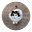 BookDragonLady's avatar