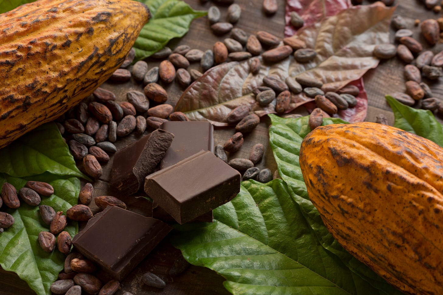 Cocoa products from fruit to bar