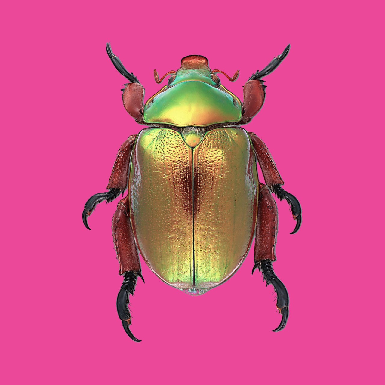 what i’m thinking right now