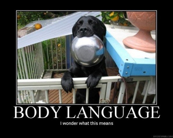 Ultimate Filmmaker's Guide To Body Language: Detecting Investor's Lies
