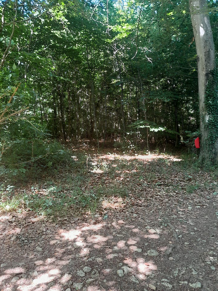 Photo de champs, chemin dans les champs, forêts et personnes qui marchent dans la forêt