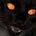 felix shmelix's avatar