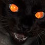 felix shmelix's avatar
