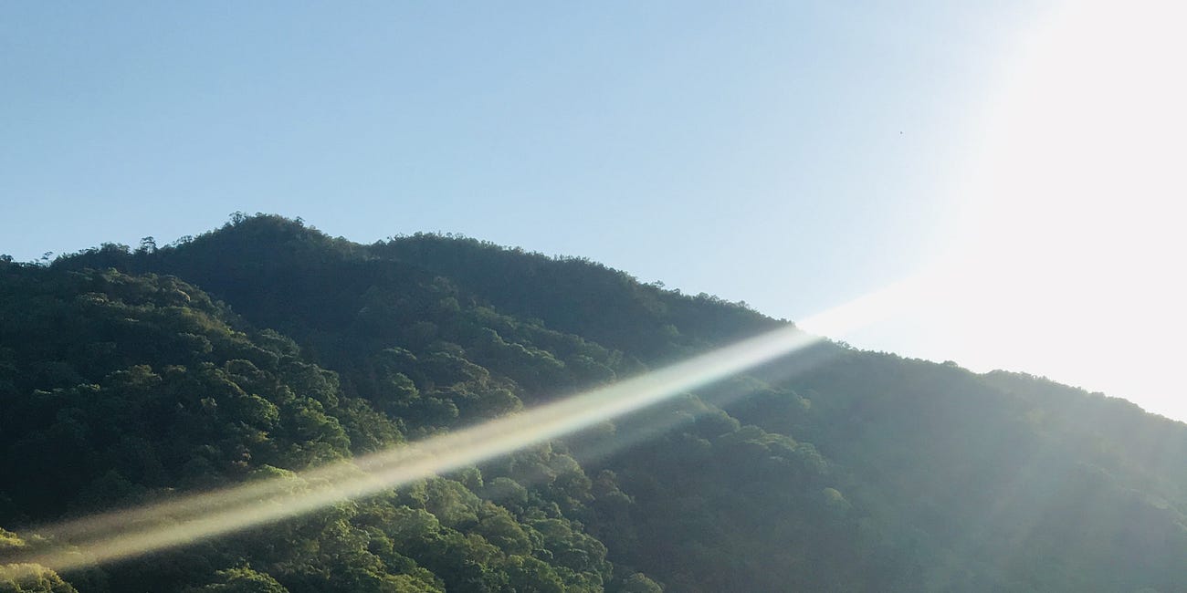 Dreaming of Japan