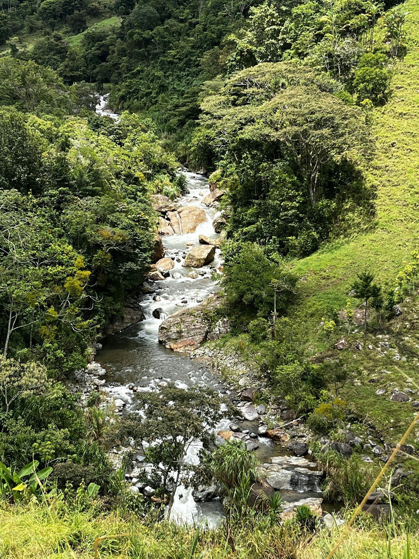 038: In Search of Freedom, or Free from Searching? 038: In Search of Freedom, or Free from Searching?