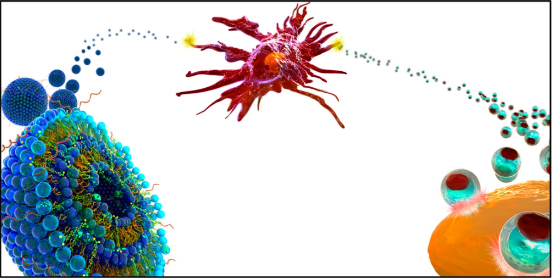 Endotoxin replacing PEG in Lipid Nanoparticles increases CD8 T Killer cells 