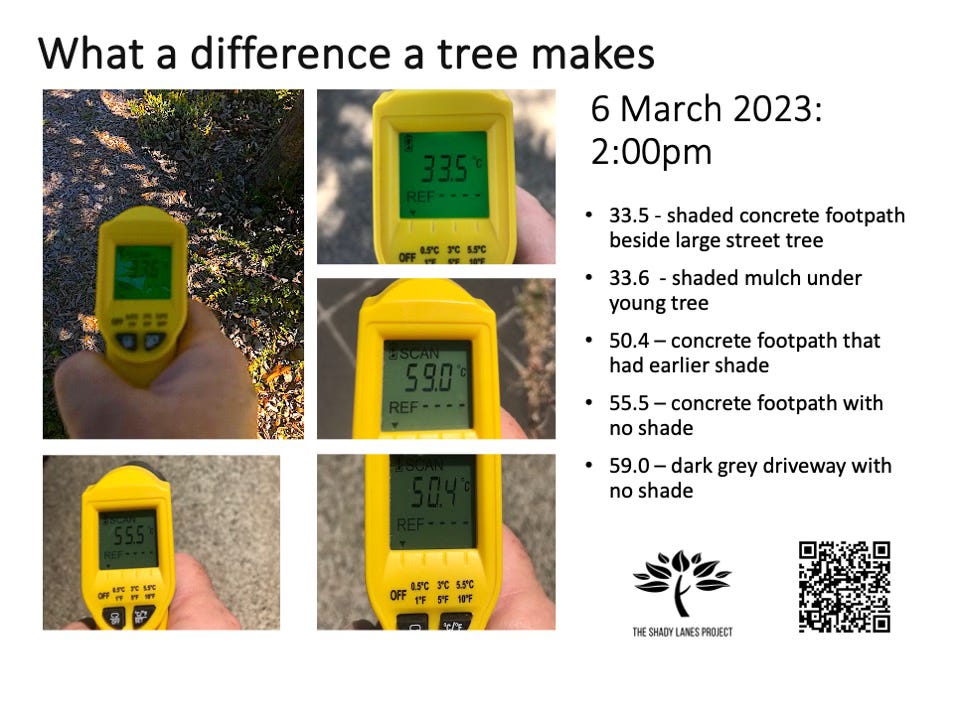 photos showing temperatures in sun and shade