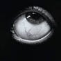 THE LAB MAG's avatar