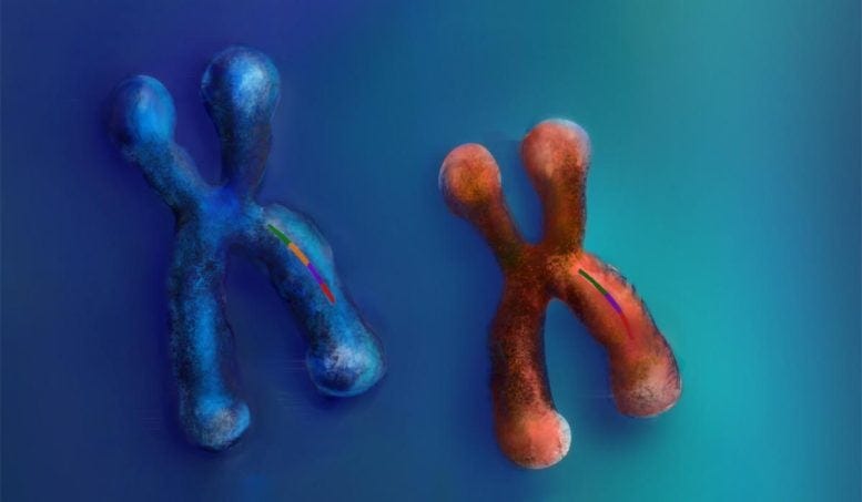 Complex Human Genomic Variants