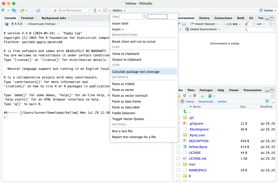 R package development in Positron - by Stephen D. Turner