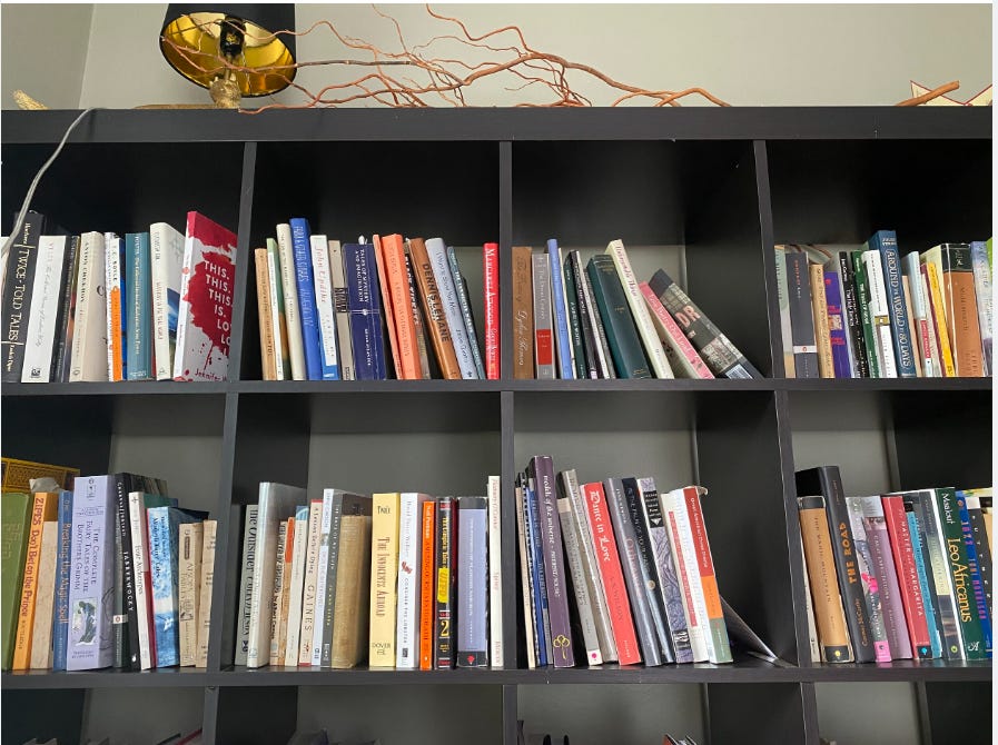 A large black bookshelf lined with books. A lamp and branches are at the top of the bookcase.