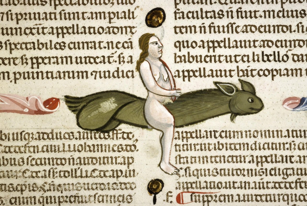 Image Image