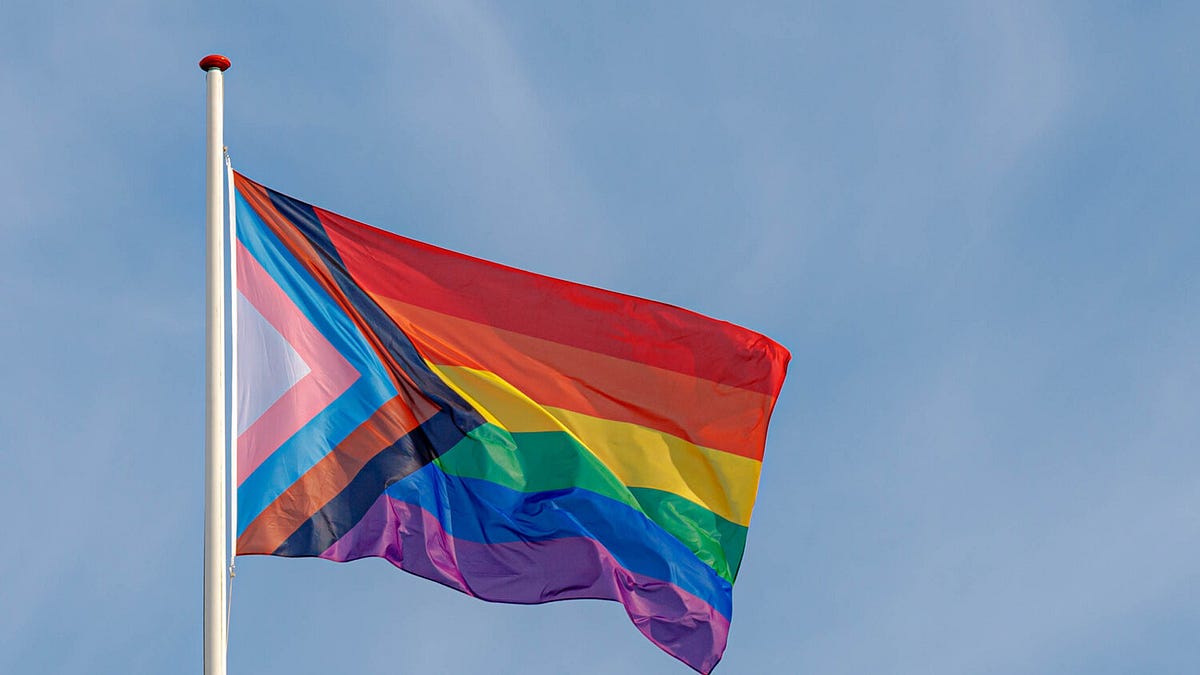 REVEALED: Rural Texas School District includes gender ideology in curriculum, teaches kids about pronouns, gender spectrum, and circumventing parents 