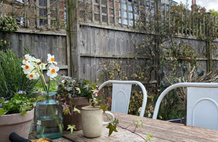 Cragfords from the garden on the potting table with gloves