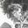 Charles Robert Jones's avatar