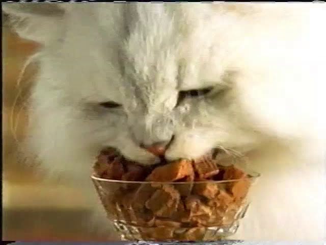 Fancy Feast | Television Commercial | 2002