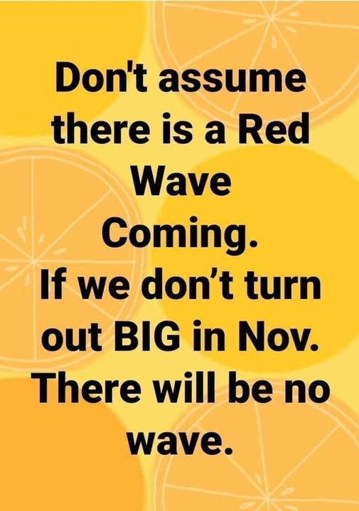 May be an image of text that says 'Don't assume there is a Red Wave Coming. If we don't turn out BIG in Nov. There will be no wave.'
