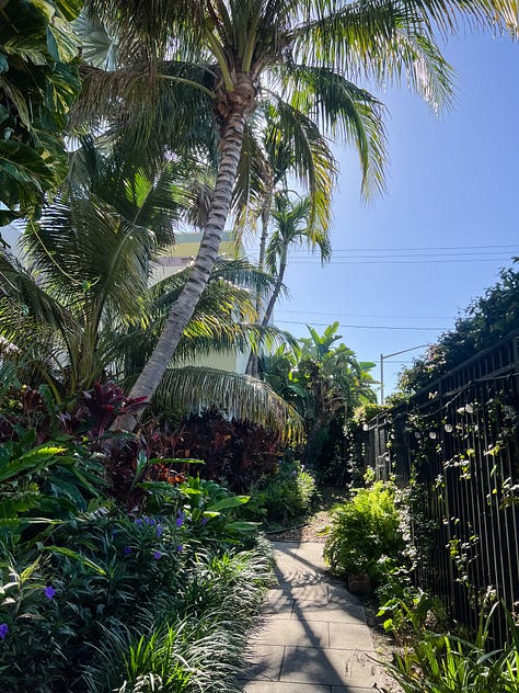 Photos of trees, plants and flowers on sunny summer days.