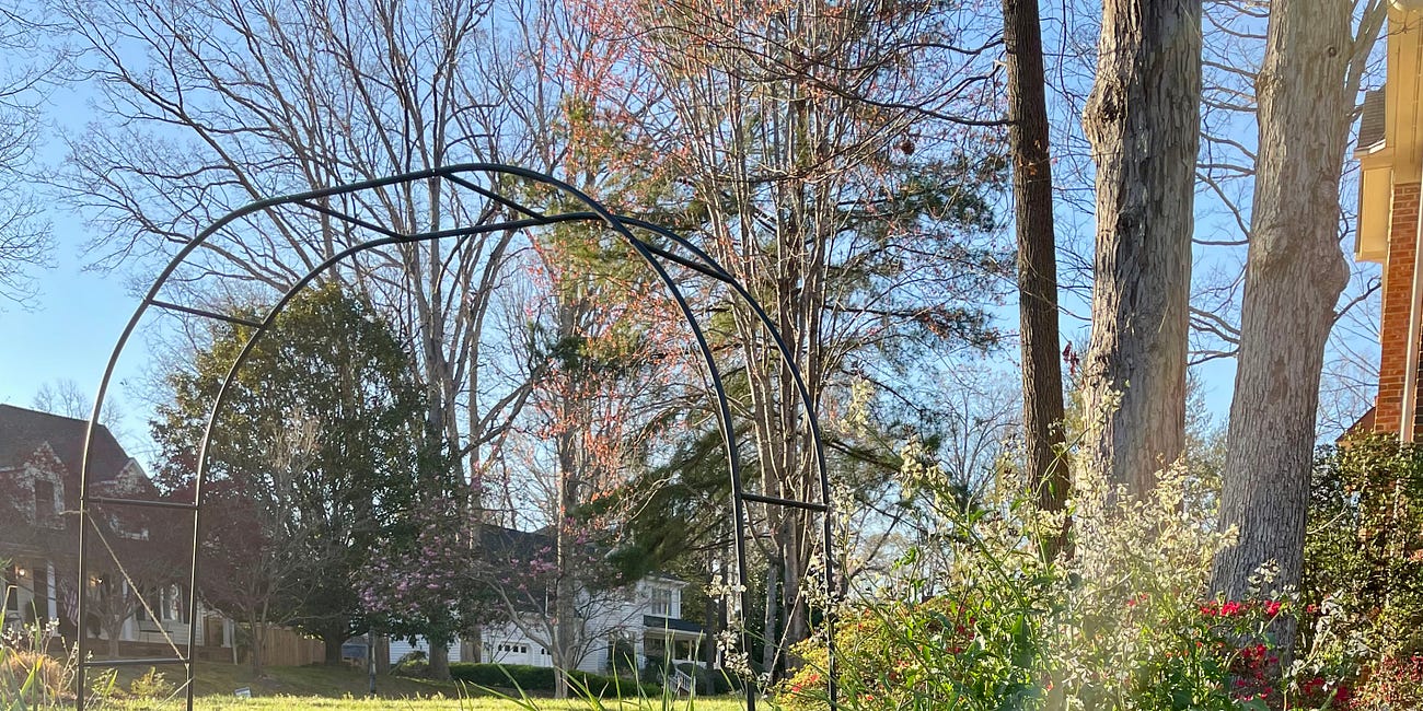 On Hope, a Haven of Tranquility, and Allergy Tea
