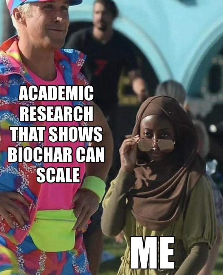 Barbie film still of Ken in a bright outfit, labelled "Academic research that shows biochar can scale", and a woman in a hijab lowering her sunglasses, labelled "Me".