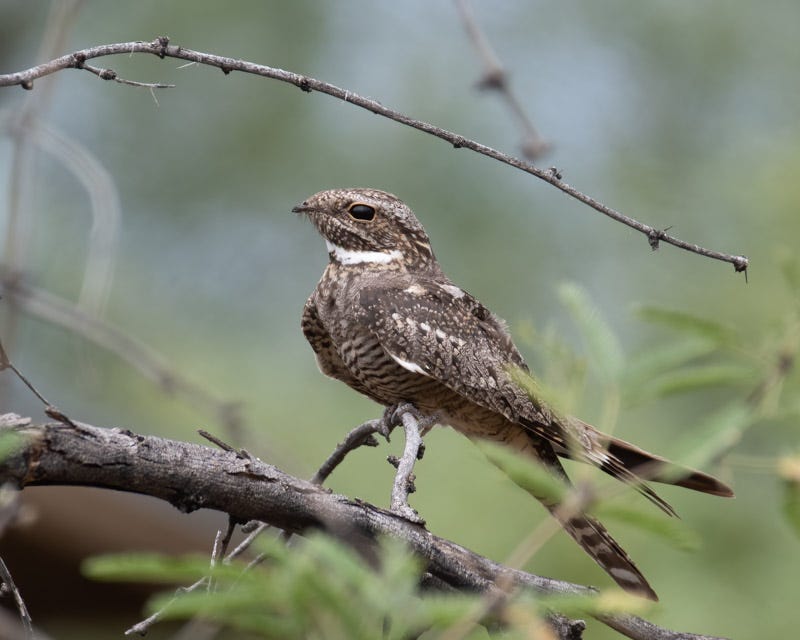 20200531_MBY-Edit.jpg 20200531_MBY-Edit.jpg