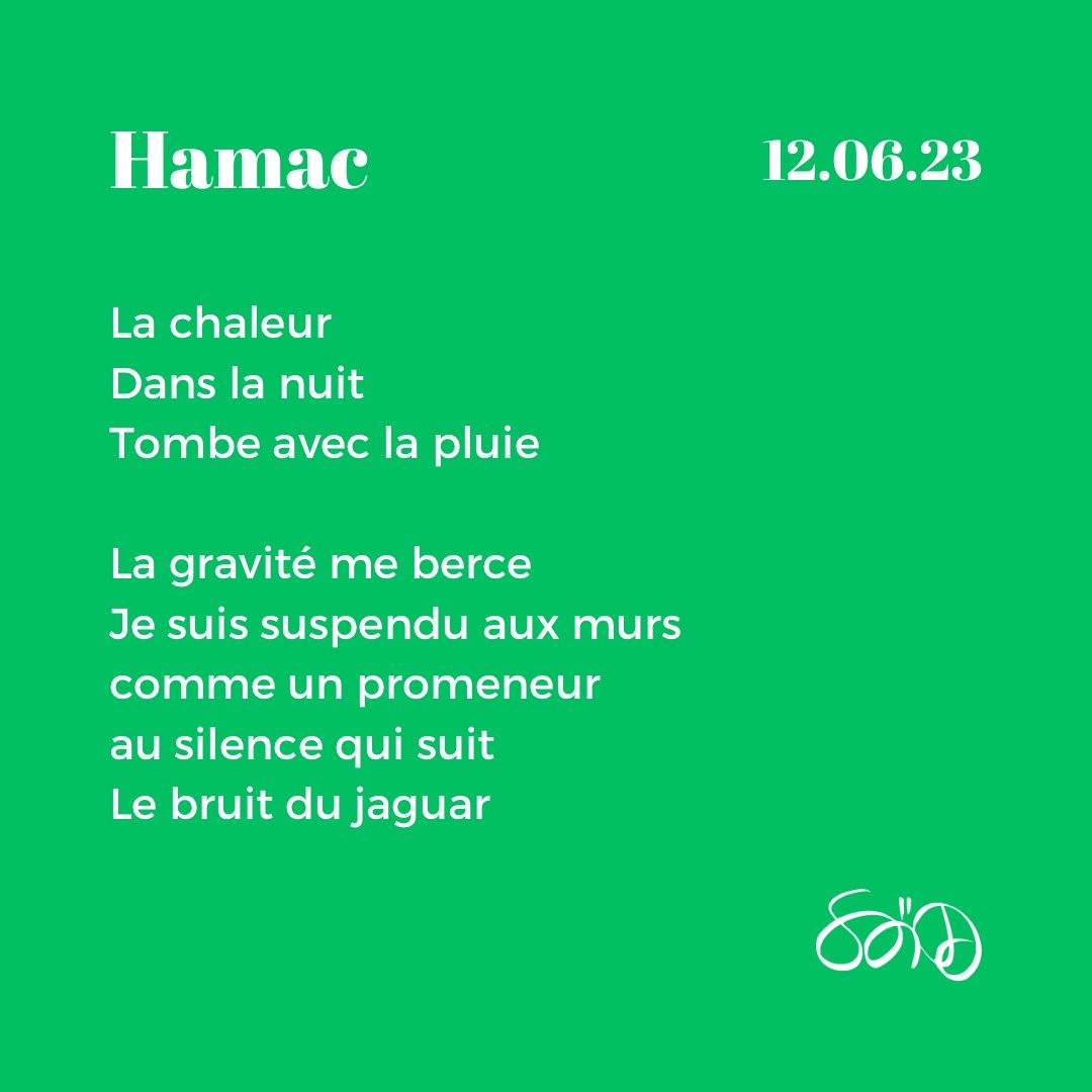 Sortir de la jungle Sortir de la jungle