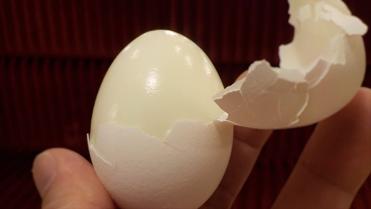 Egg held in hand. Top half of shell is removed cleanly.
