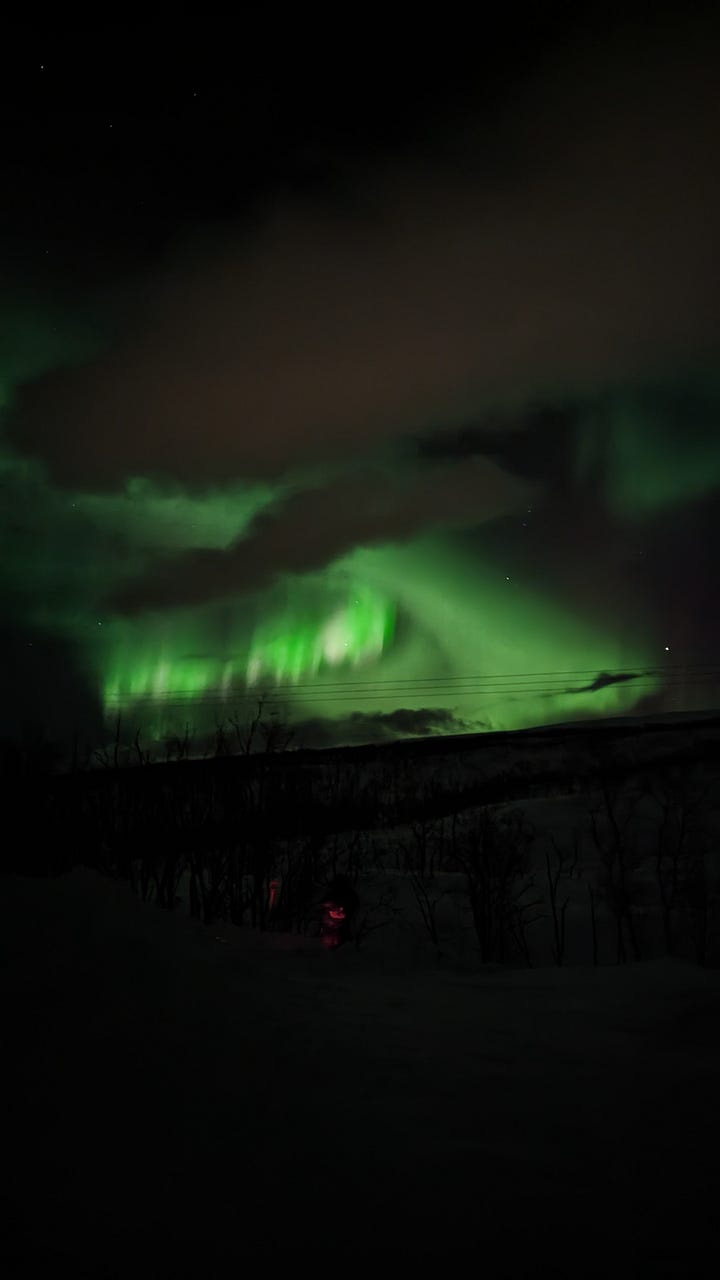 Pale icy pink and white edge a vibrant green curtain which reaches across the whole sky, illuminating the snow below.